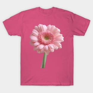 Fresh, single gerbera T-Shirt